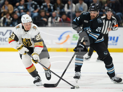 Knights Mammoth Hockey