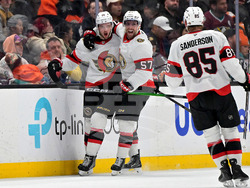 Senators Ducks Hockey