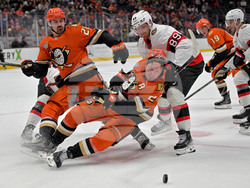 Senators Ducks Hockey