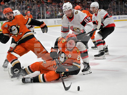 Senators Ducks Hockey