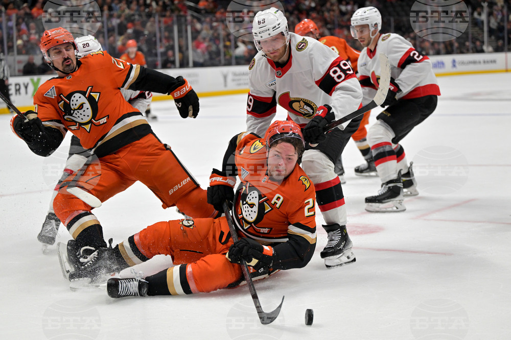 Senators Ducks Hockey