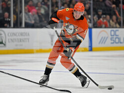 Senators Ducks Hockey