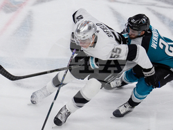 Kings Sharks Hockey