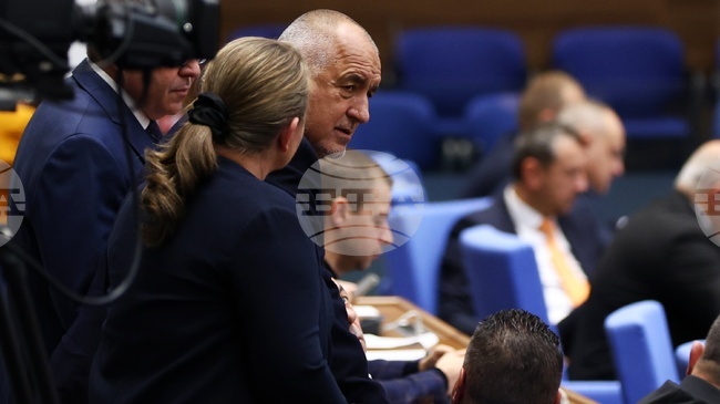 GERB Leader Borissov Says Euro Budget at Core of Protests
