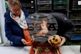 Hungary Roman Sarcophagus