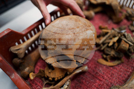 Hungary Roman Sarcophagus