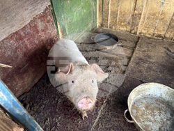 Село Ковачевци - къща - пожар - помощи