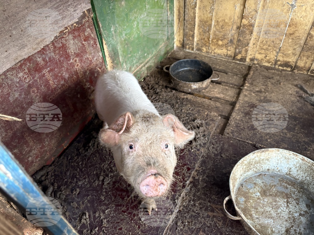 Село Ковачевци - къща - пожар - помощи