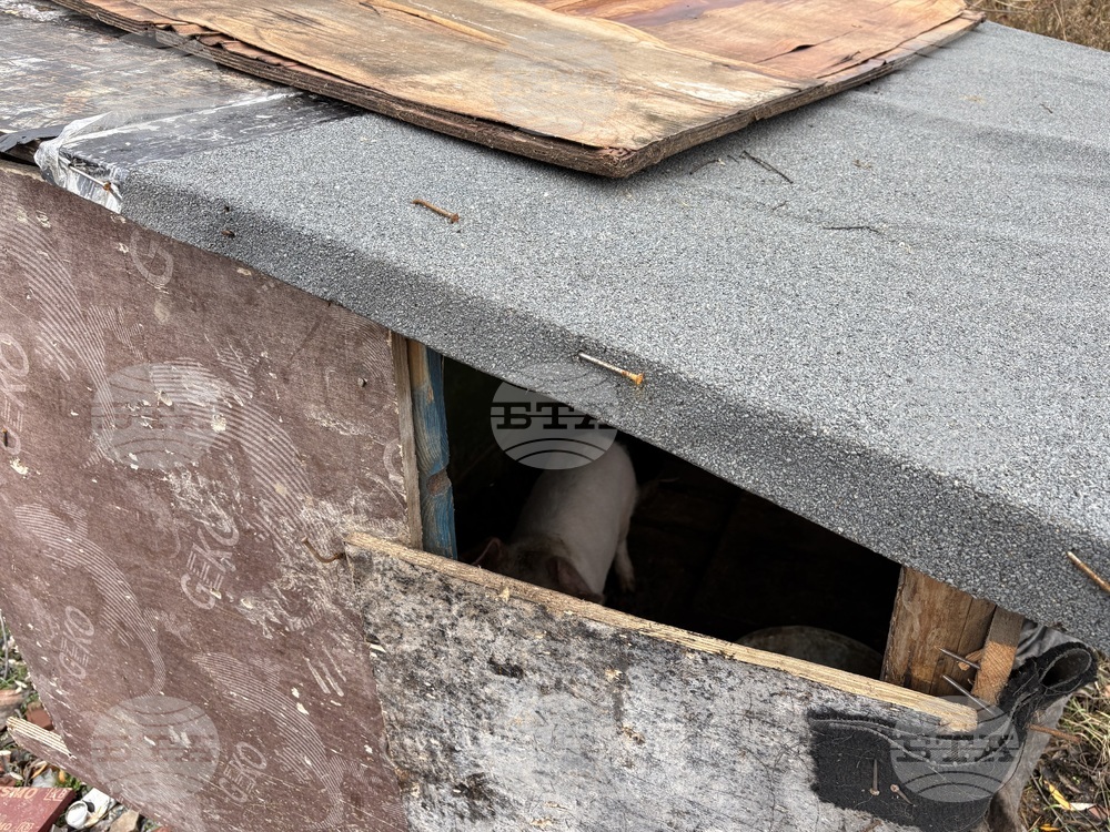 Село Ковачевци - къща - пожар - помощи