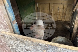 Село Ковачевци - къща - пожар - помощи