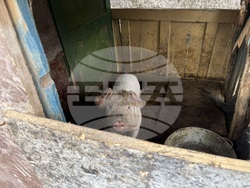 Село Ковачевци - къща - пожар - помощи