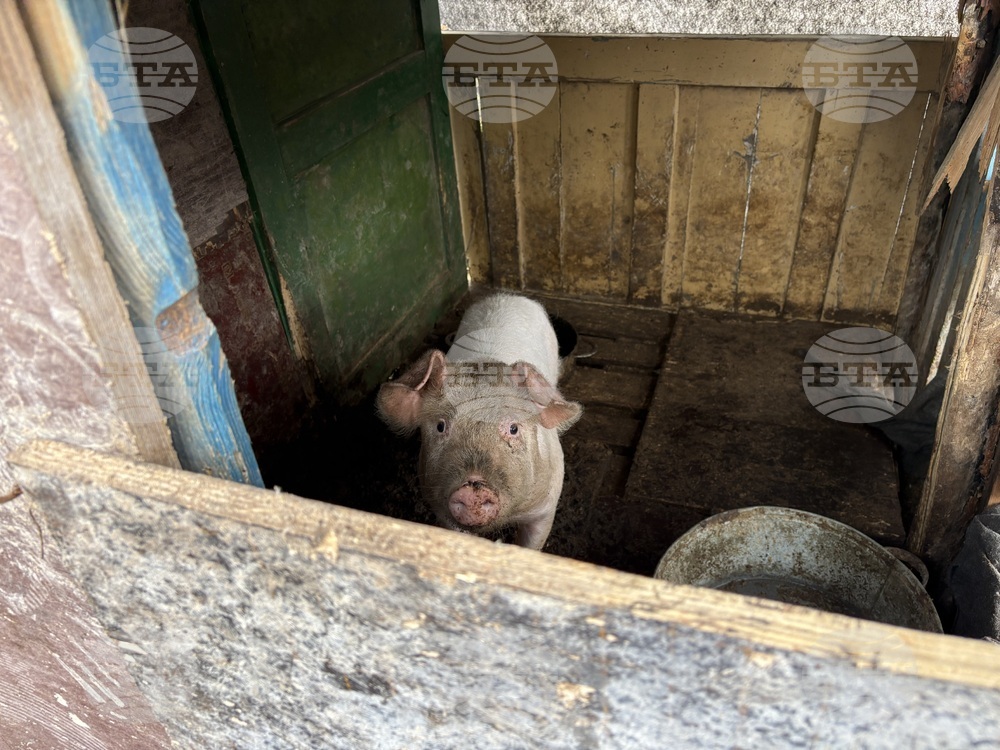 Село Ковачевци - къща - пожар - помощи