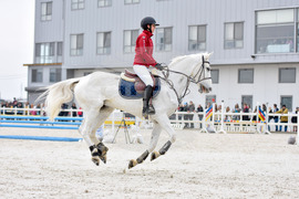 Село Царацово - Тодоровден - конна база Фригопан
