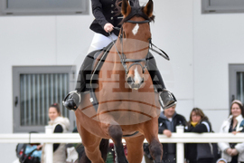 Село Царацово - Тодоровден - конна база Фригопан