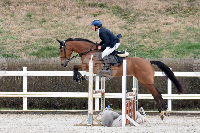 Панагюрище, Албена, Ямбол и Петрич ще приемат състезанията за "Купа България" по прескачане на препятствия