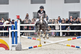 Село Царацово - Тодоровден - конна база Фригопан