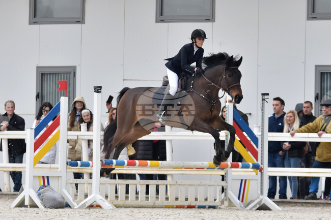 Световна купа по конен спорт с голям награден фонд започва в България