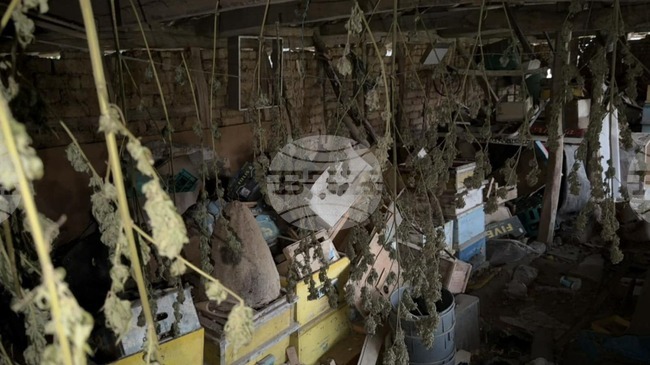 Полицията задържа мъж от Попово за притежание на наркотици 