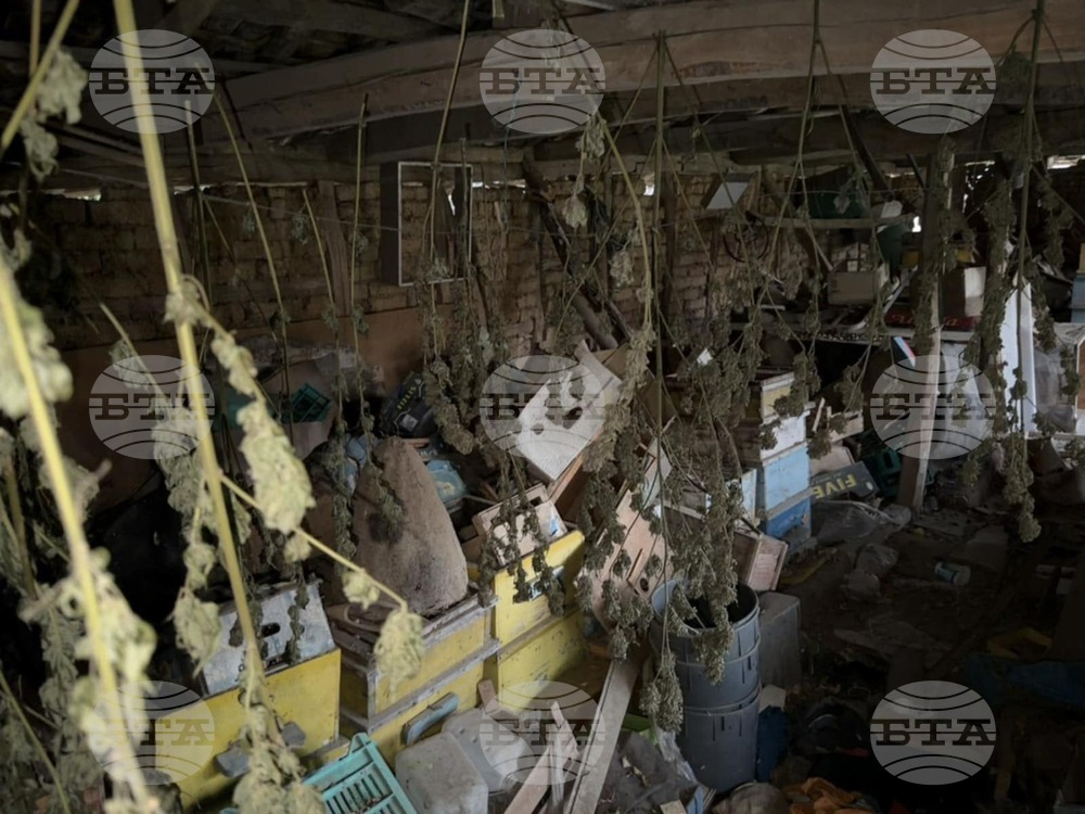 Полицията задържа мъж от Попово за притежание на наркотици 