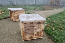 Търговище - Общински приют - кучета