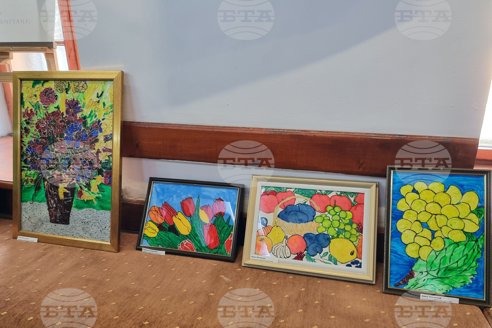 Кюстендил - социална услуга - годишнина - изложба