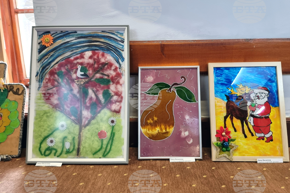 Кюстендил - социална услуга - годишнина - изложба