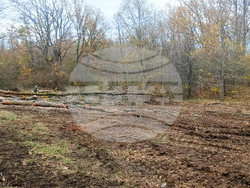 Снимка: АПИ