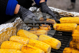 Federal Enforcement Immigrant Fears