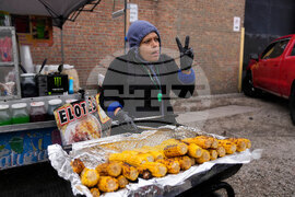 Federal Enforcement Immigrant Fears