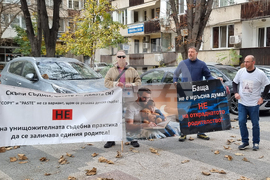 Пловдив - протест - сдружение „Гласът на бащите“
