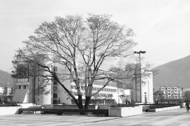 Изглед от центъра на Благоевград