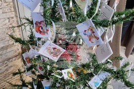 Враца - дарителска кампания