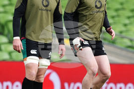 Ireland Rugby