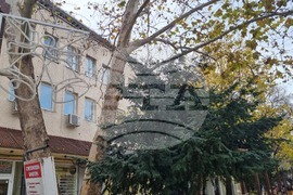 Търговище - коледна украса