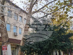 Търговище - коледна украса