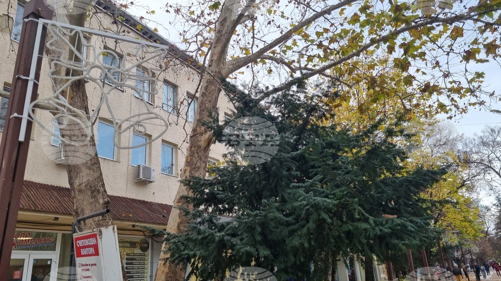 Търговище - коледна украса