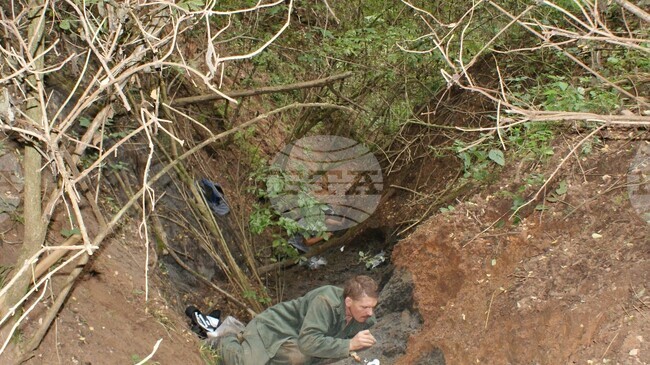 Аджерпрес: Изключително богато находище на фосили е открито в Глобалния геопарк на ЮНЕСКО "Хацег" в Румъния