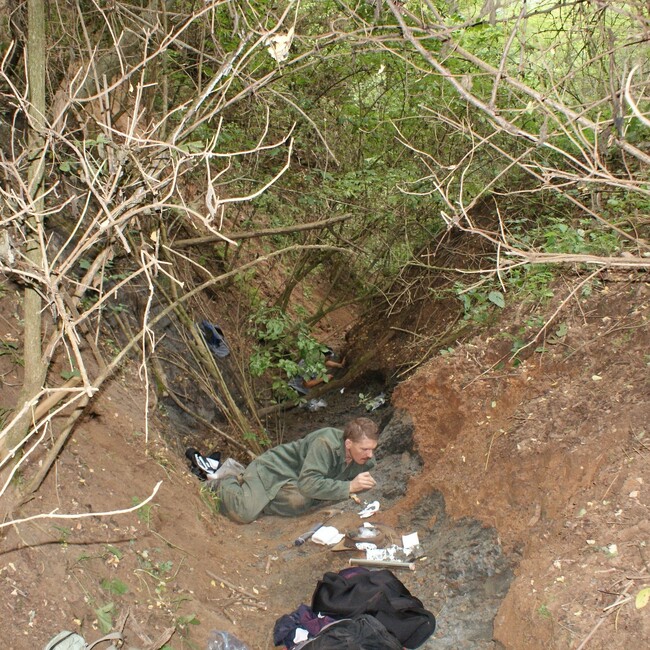 Аджерпрес: Изключително богато находище на фосили е открито в Глобалния геопарк на ЮНЕСКО "Хацег" в Румъния