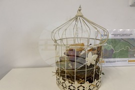 Село Розово - Академия за таланти