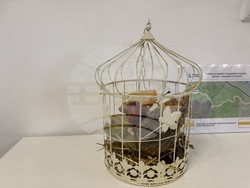 Село Розово - Академия за таланти