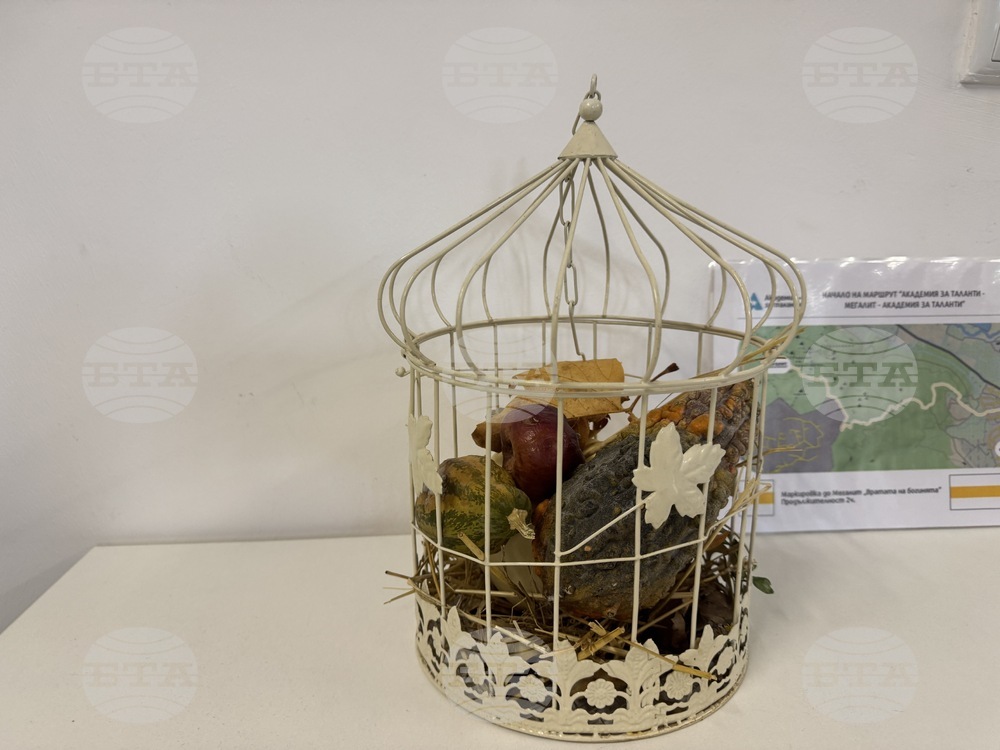 Село Розово - Академия за таланти