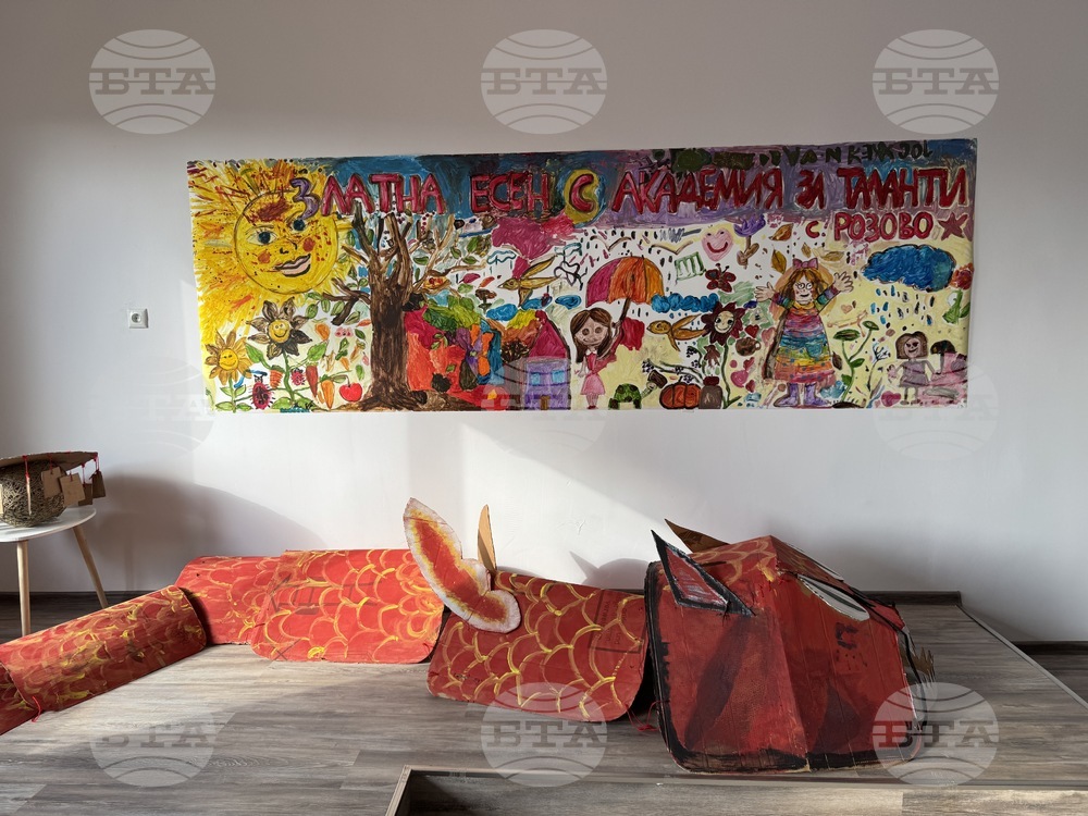 Село Розово - Академия за таланти