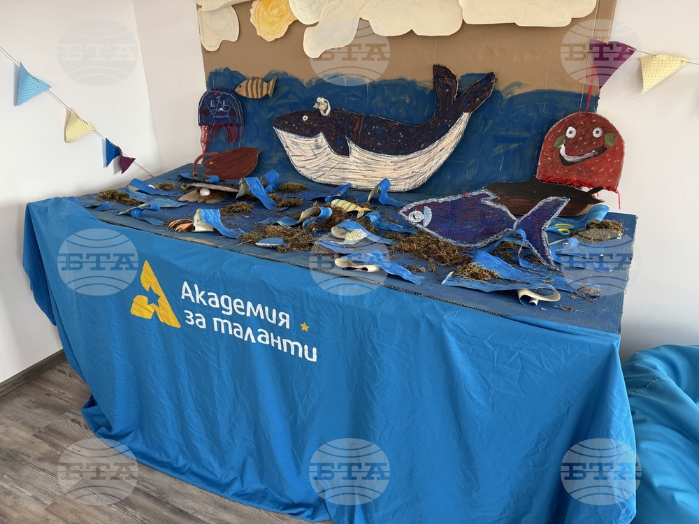 Село Розово - Академия за таланти