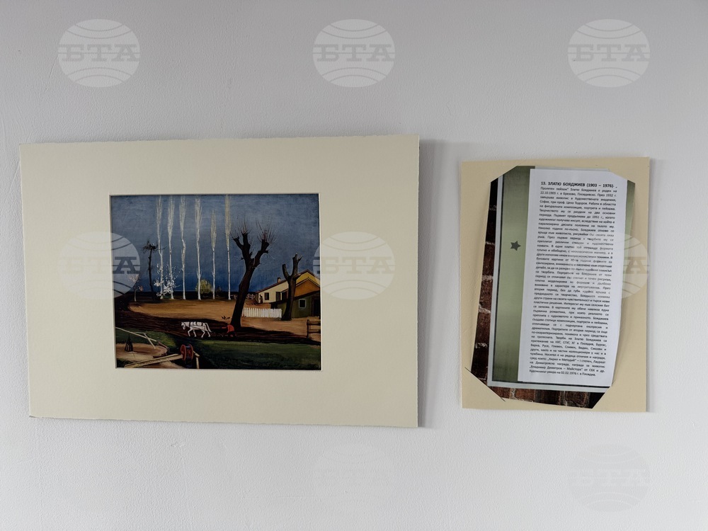 Село Розово - Академия за таланти