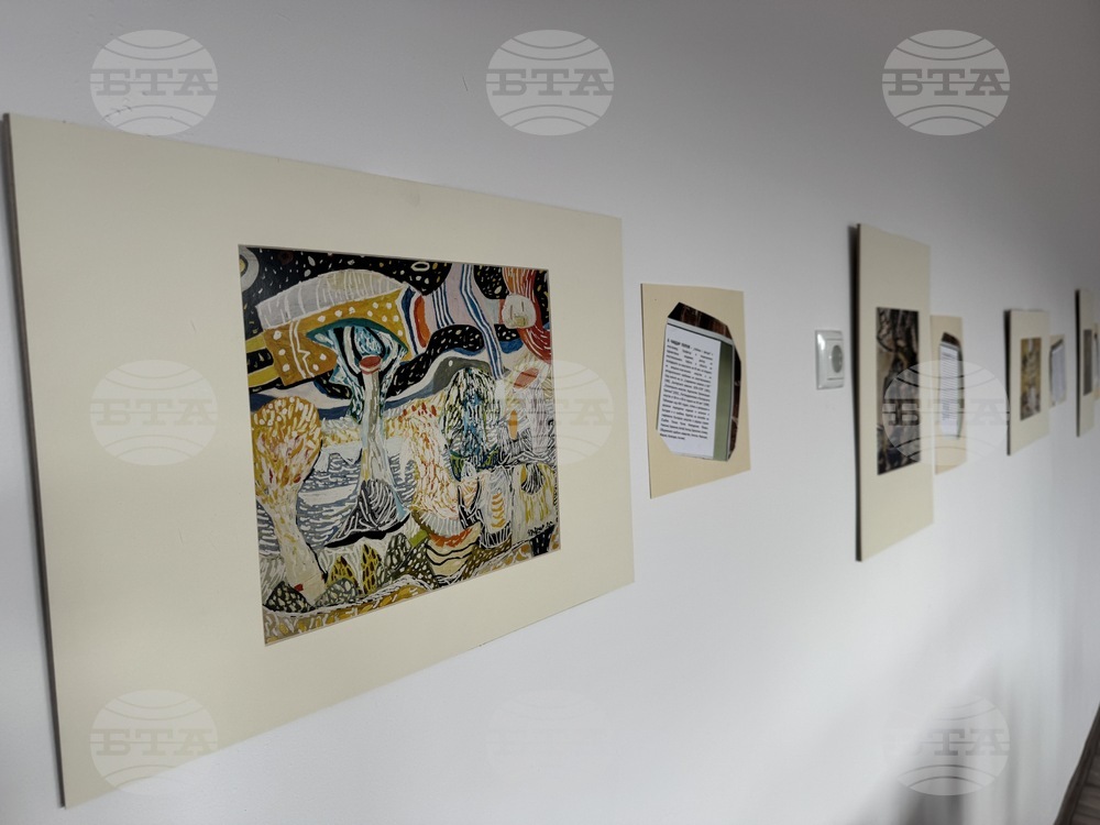 Село Розово - Академия за таланти