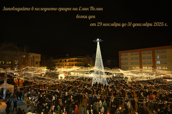 В Елин Пелин грейва коледно градче с над 1 000 000 светлини, 16-метрова елха и кауза, родила вече четири бебета