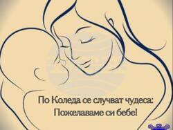 Снимка: Община Елин Пелин