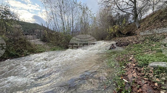 В Гоце Делчев започва премахване на дървета и препятствия от речното легло на река Туповишка