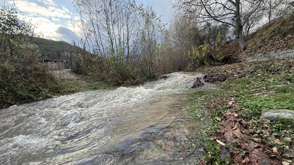 В Гоце Делчев започва премахване на дървета и препятствия от речното легло на река Туповишка