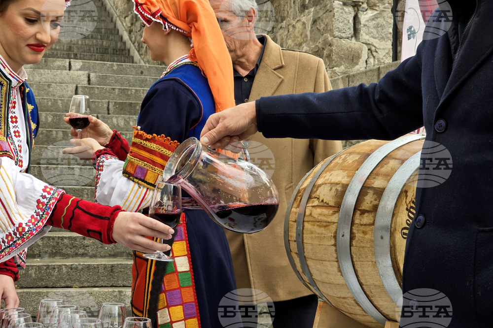 17th Young Wine Festival Opens in Plovdiv